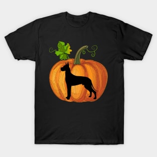 Great dane in pumpkin T-Shirt